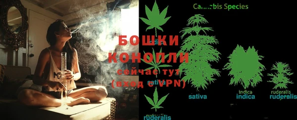 гидра Балабаново