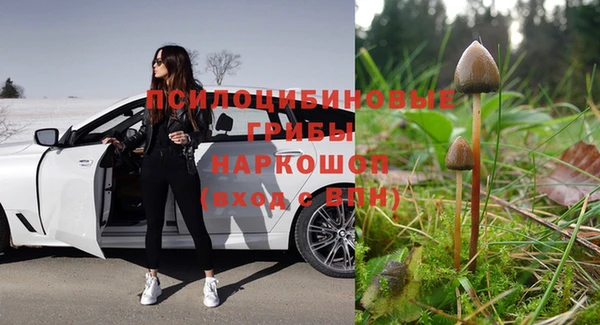 гидра Балабаново